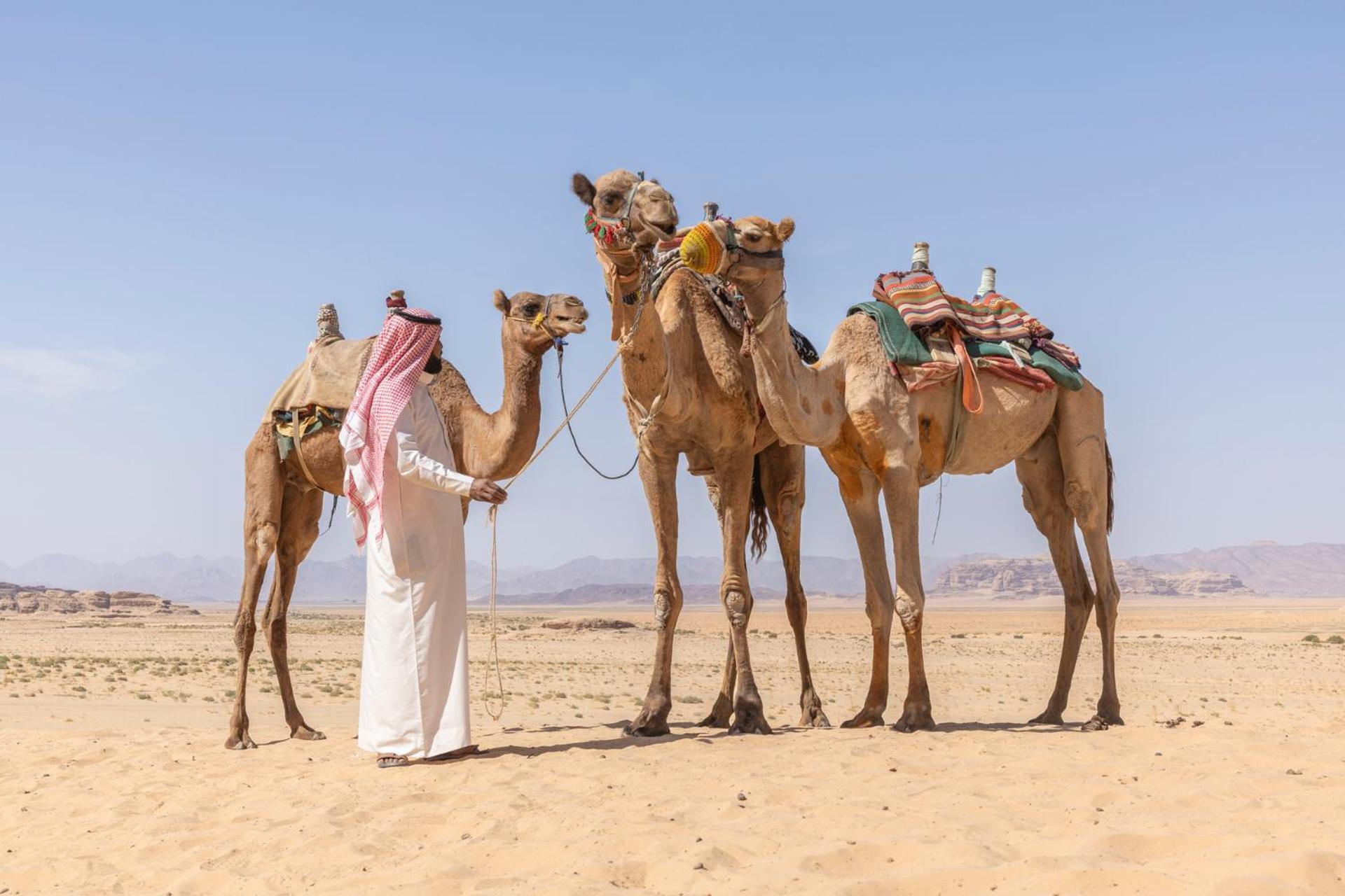 Wadi Rum Camp & Jeep Tour Exteriör bild