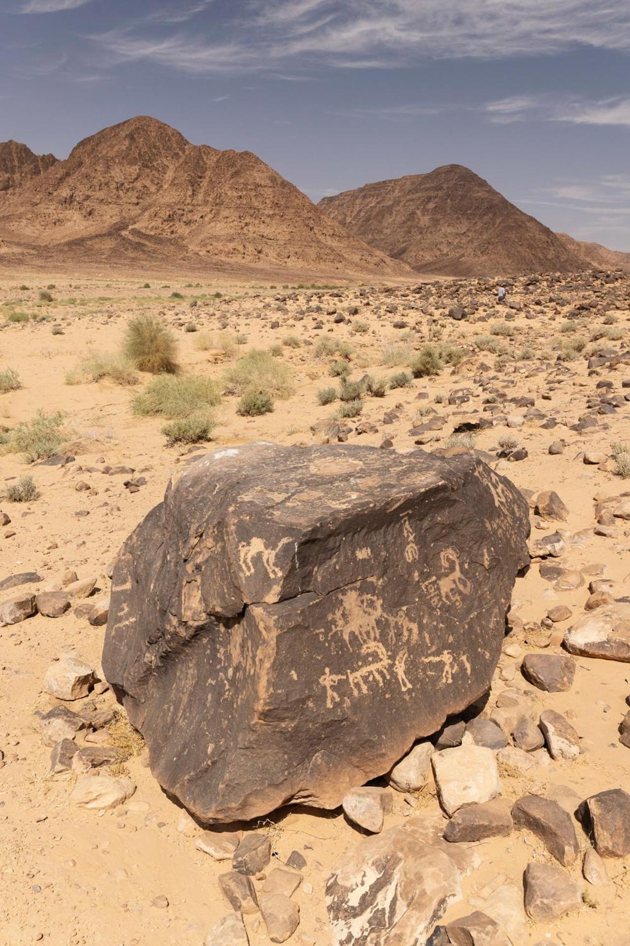 Wadi Rum Camp & Jeep Tour Exteriör bild
